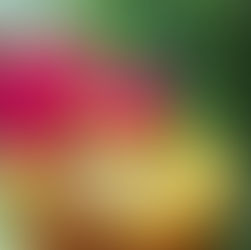 Pineapple, Mint, Coconut + Fresh Lime.