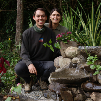 Bee + Butterfly Refuge Water Feature