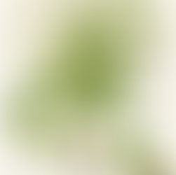 Lemon Verbena: The Queen of Lemon-Scented Herbs