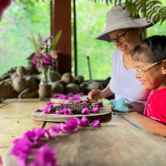 Making Raw Sugar + Roasting Coffee