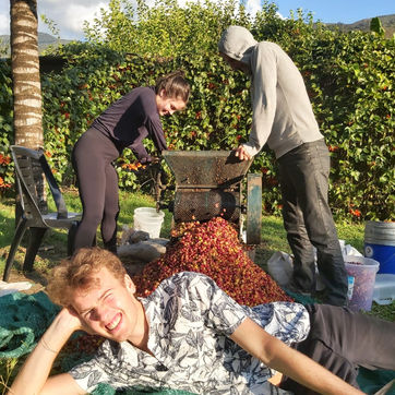 farmcoffee.jpeg