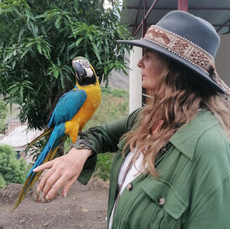 Blue & Gold Macaw.
