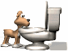 dogdrink.gif