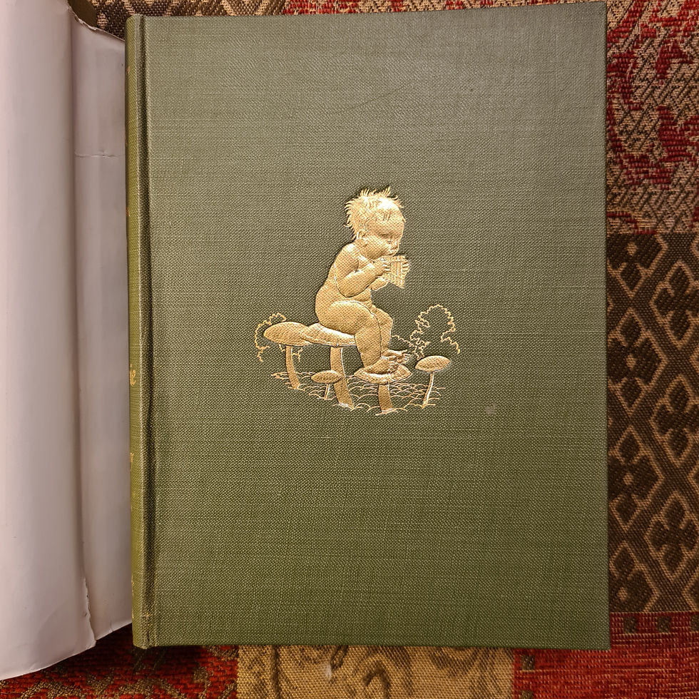 Thumbnail: Peter Pan in Kensington Gardens by J.M.Barrie illustrated by Arthur Rackham 1910