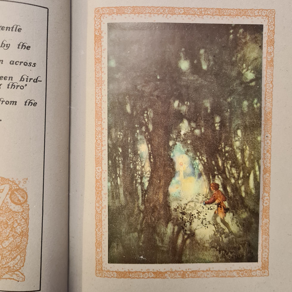 Thumbnail: Tannhauser Vellum Ltd Num Ed Signed by Willy Pogany 418/525 in bespoke slip case