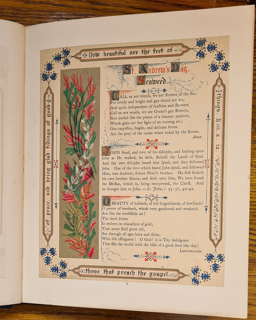 Thumbnail: W R Tymms : The Church's Floral Kalandar ,Day & Son, 1860