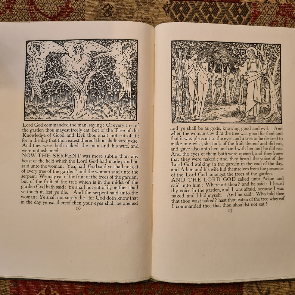 Thumbnail: The Beginning of the World, 25 plates illustrated by Edward Burne-Jones  1902