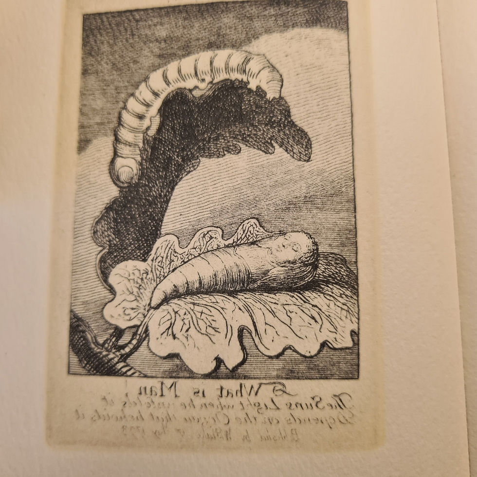 Thumbnail: William Blake The Gates of Paradise, 3 vol., one of 700 copies,