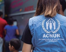 acnur.jpg