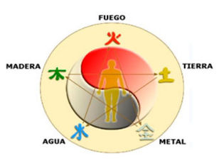Armoniza tu hogar con los 5 elementos