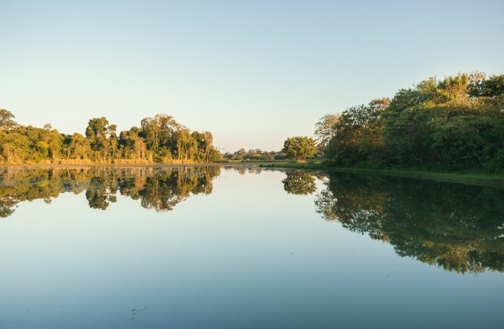 Fotografia de um rio calmo que reflete diversas árvores verdes que estão ao redor dele. Também é possível ver o céu azul com um leve degradê de branco no horizonte
