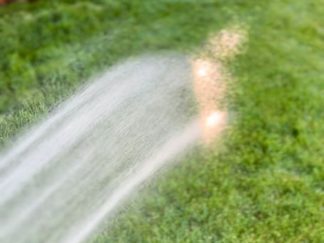 Why is My Grass Turning Brown? 7 Common Causes and Solutions in 2024
