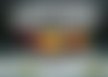 Benefiz Veranstaltung des DSV 14-1 Wels