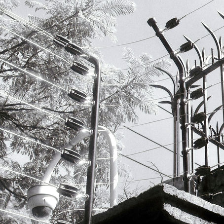 ¿Por qué los sistemas de Cerco Eléctrico® no matan?