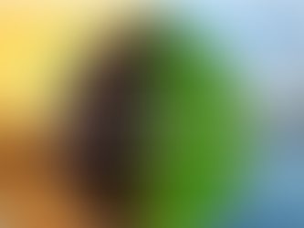 KHALIL ADIL - Réformistes (Traîtres 3/3)