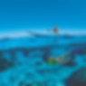 Kayaking and Scuba Diving