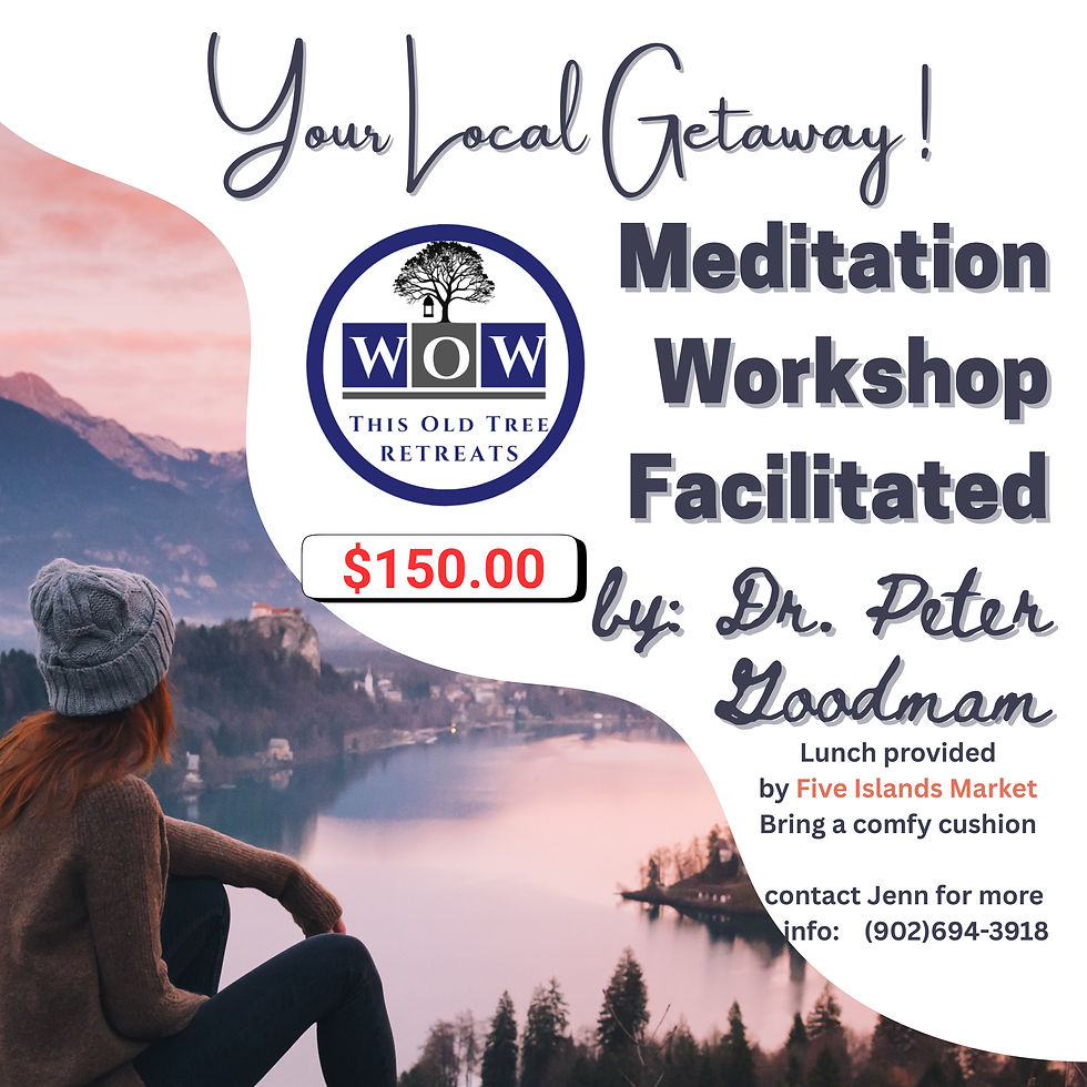Meditation Workshop