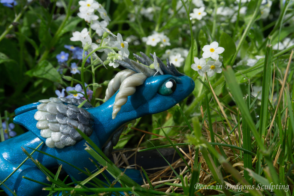peace-in-dragons-3