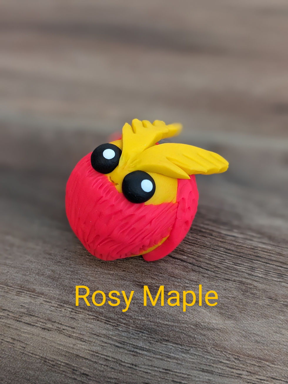 Rosy Maple Mothman 2024