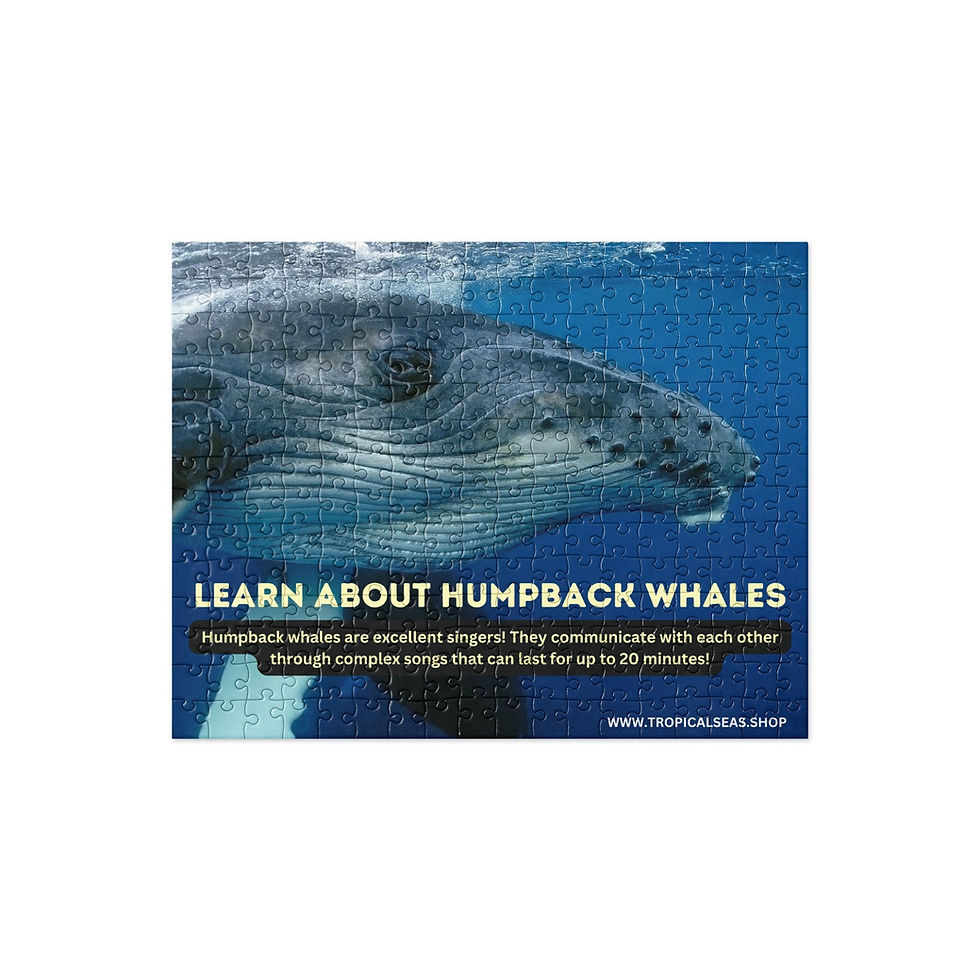 Thumbnail: Humpback Whales Fun Fact Jigsaw puzzle
