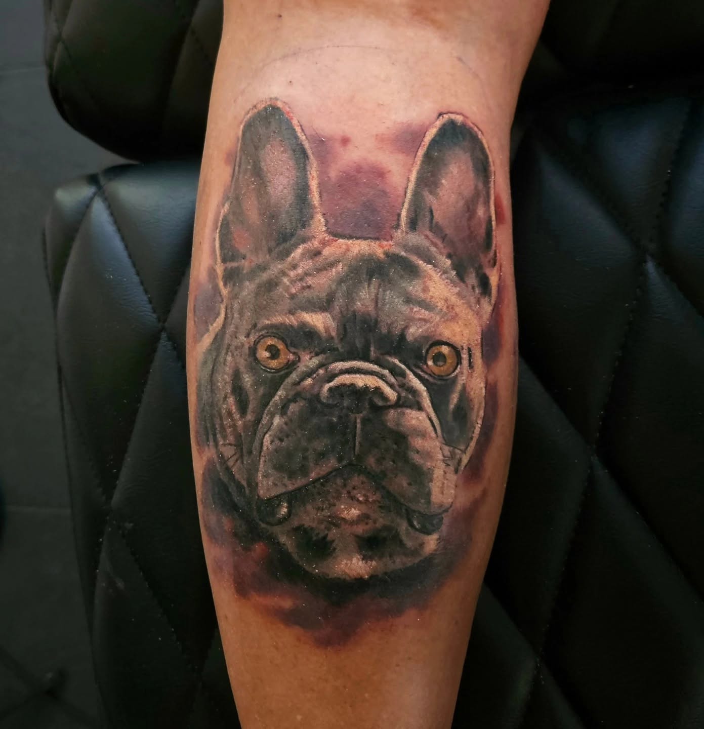 Realistic French bulldog portrait tattoo