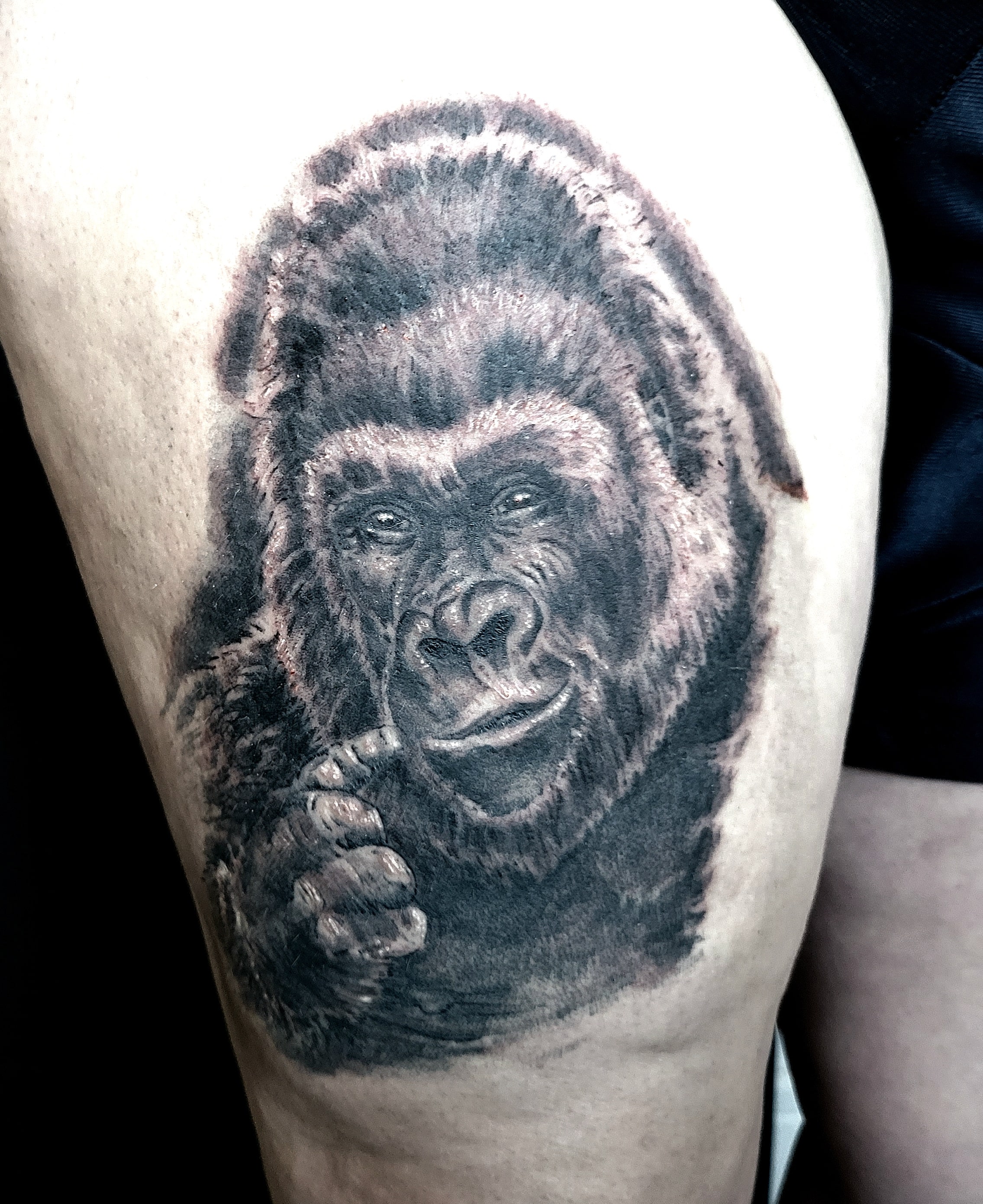 Realistic black and grey gorilla portrait tattoo