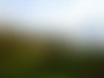 Mata Atlântica: como funciona a tutela jurídica nos casos de intervenção?