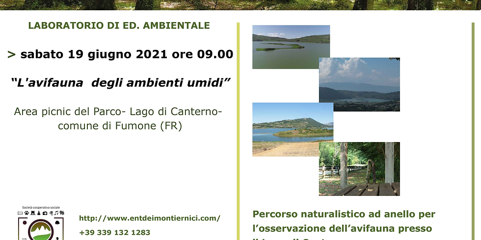 Vivi i Parchi del Lazio - L'avifauna degli ambienti umidi