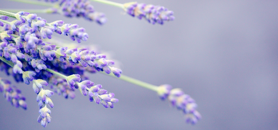 Untitled design (22).png