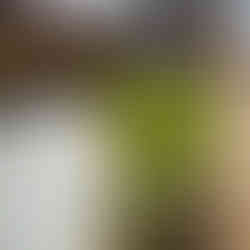 Curved Sleeper feature 