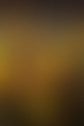 My Movie Review on The Wild Robot (2024)