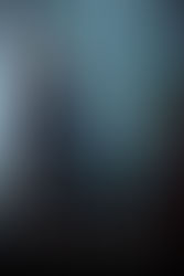 My Movie Review on The Hunter (2011)