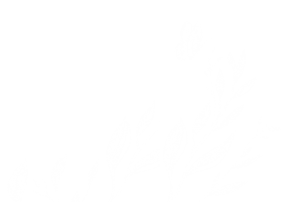 graphic_2