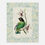 Thumbnail: Bird watercolour wall art