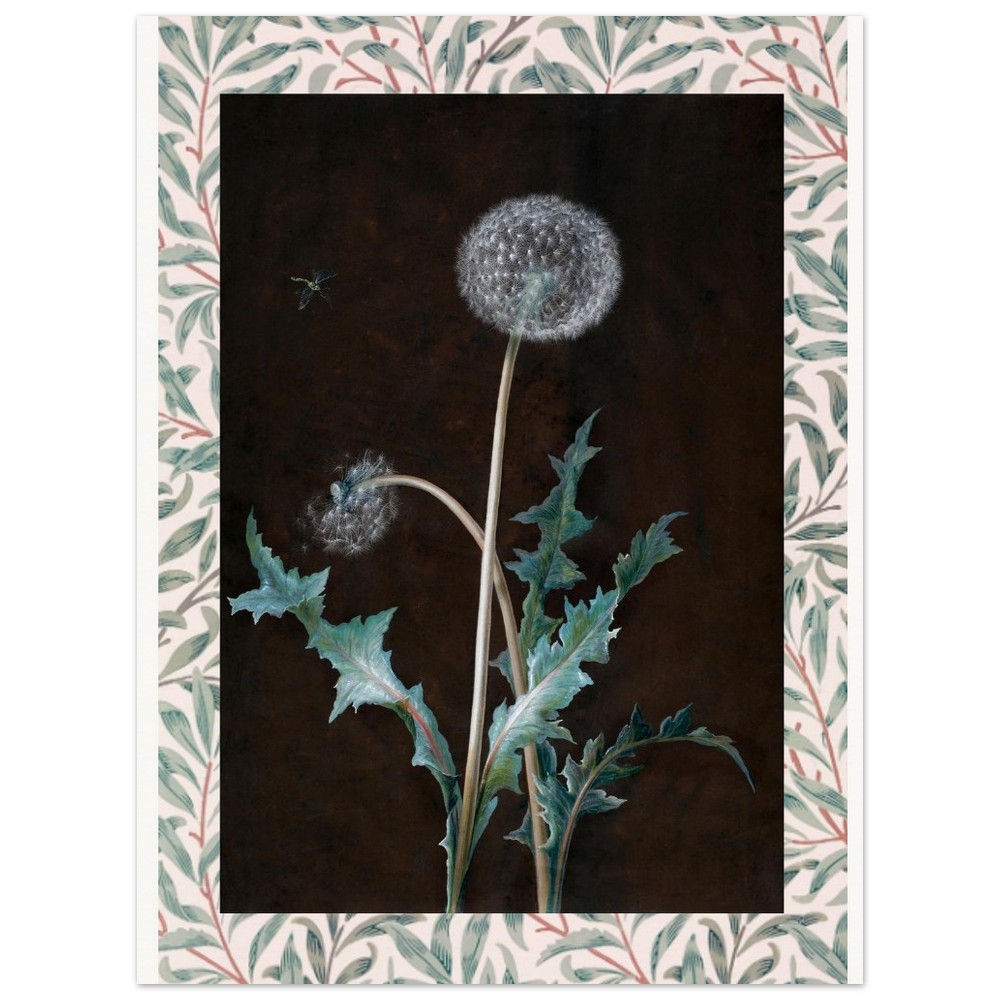 Dandelion Botanical Art Print – Barbara Dietzsch Vintage Floral