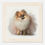 Thumbnail: Elegant Pomeranian Dog in Tutu – Whimsical Animal Wall Art Print