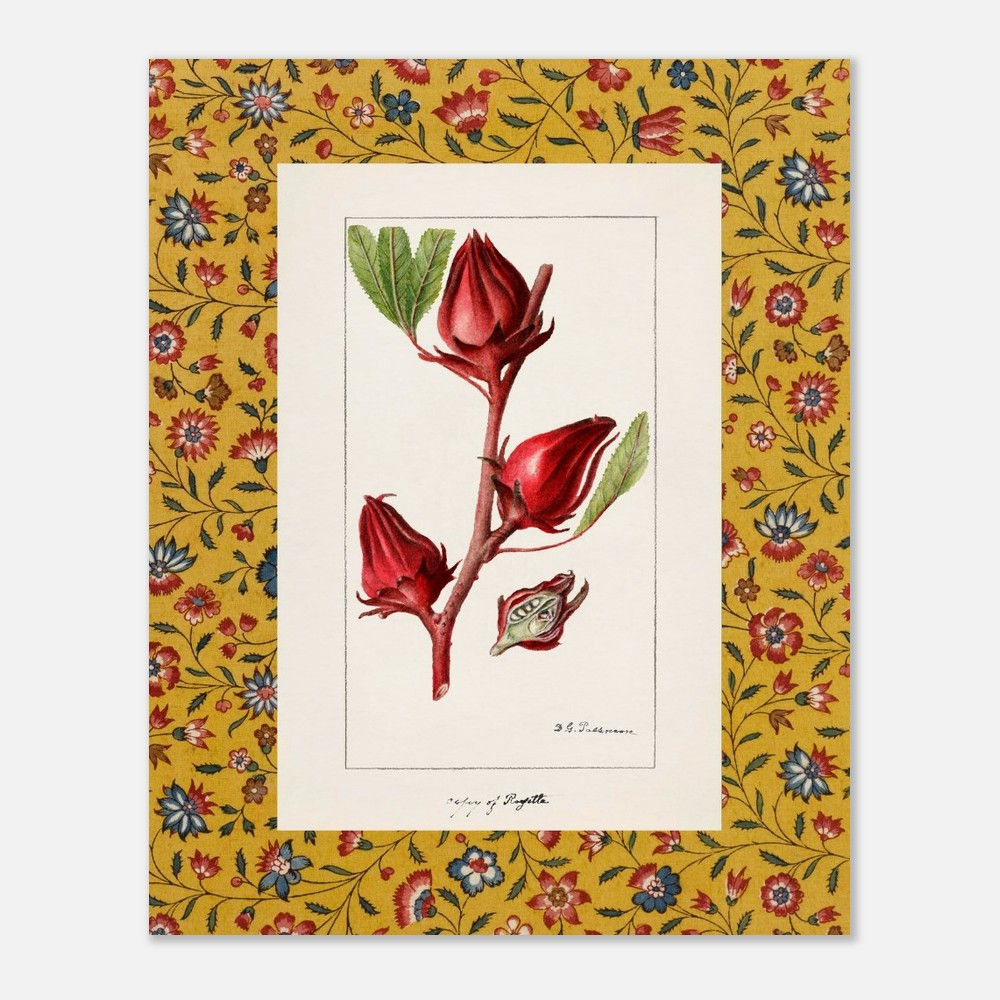 Vintage Botanical Fruit Prints – Curated Collection with Decorative Mount