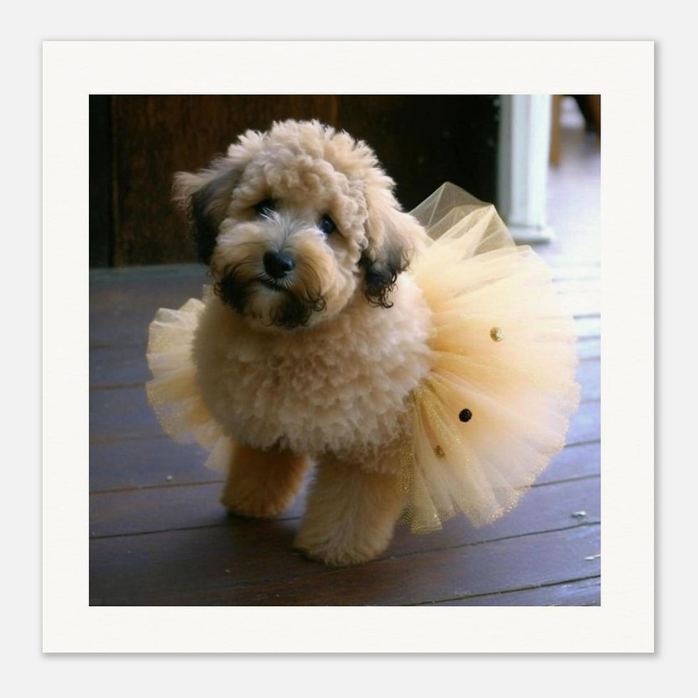Elegant Cockerpoo Dog in Tutu – Whimsical Animal Wall Art Print