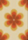Screenshot_20241209_142420_Pinterest.jpg