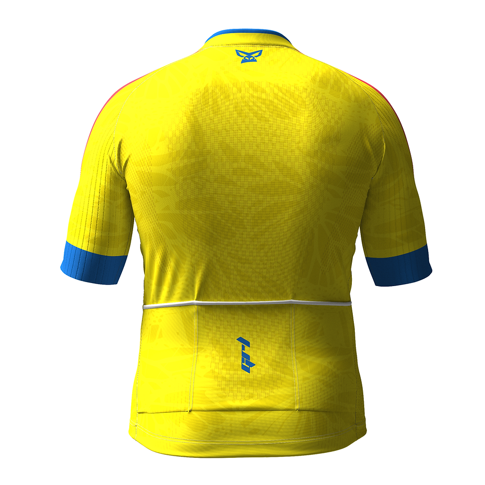 Miniatura: Jersey Elite Hombre Colombia Mundial 2026 Amarillo