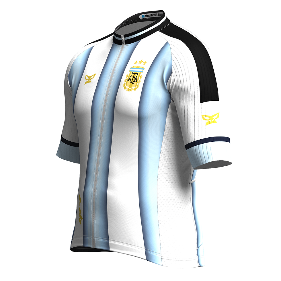 Miniatura: Jersey Elite Hombre Argentina  Mundial Celeste