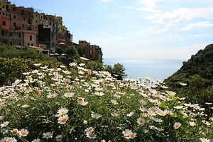 Corniglia Cinque Terre