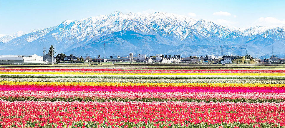 勤務地-1-2_edited.jpg