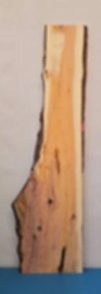 Naturally shaped Yew