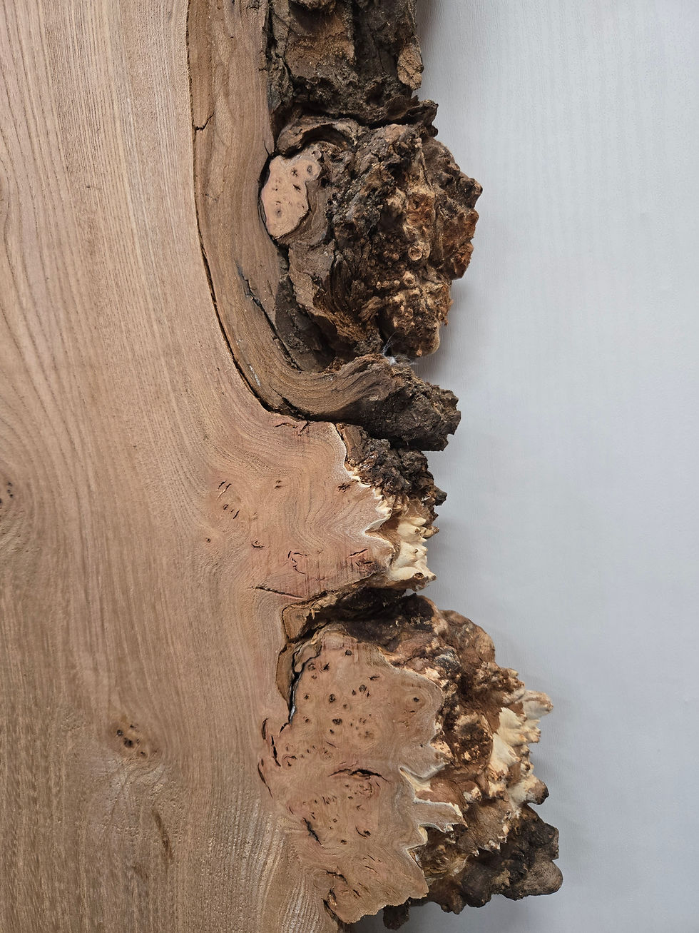 Thumbnail: Burr Elm Slab