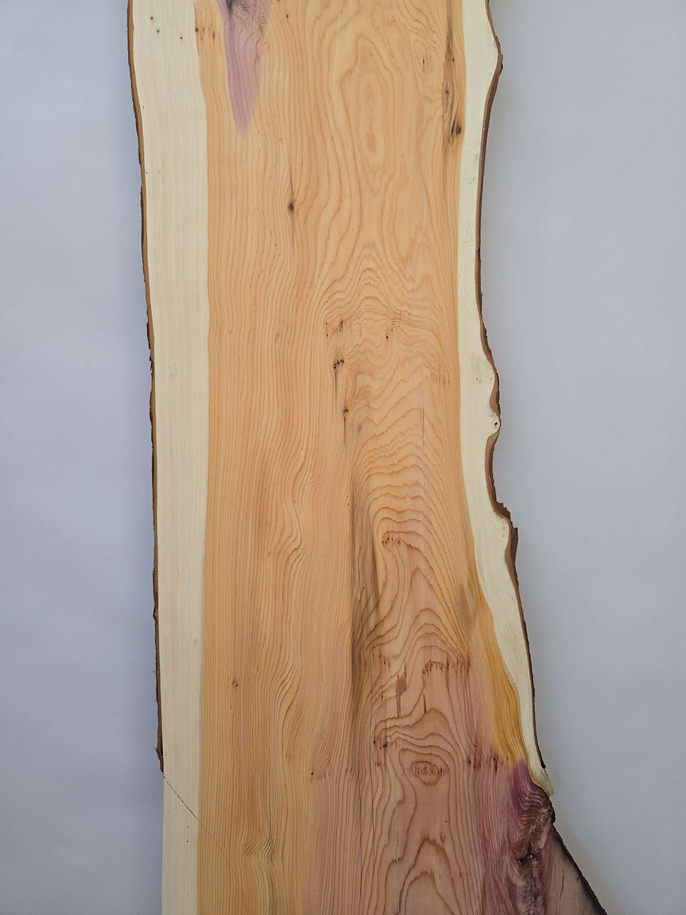 Thumbnail: Naturally shaped Yew