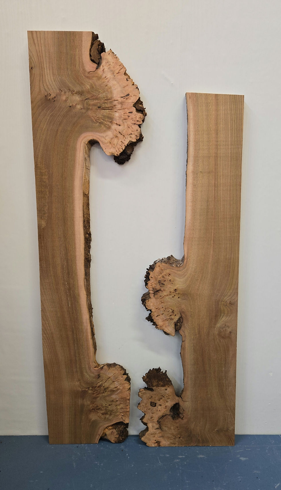 Scottish Wood Shop | Natural Edge Wood | Hardwood timber