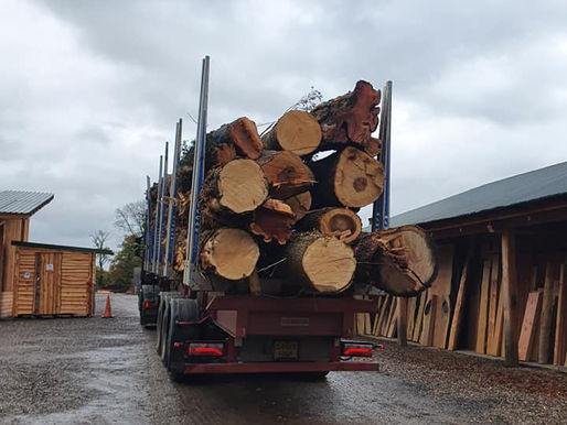 Urban Wood