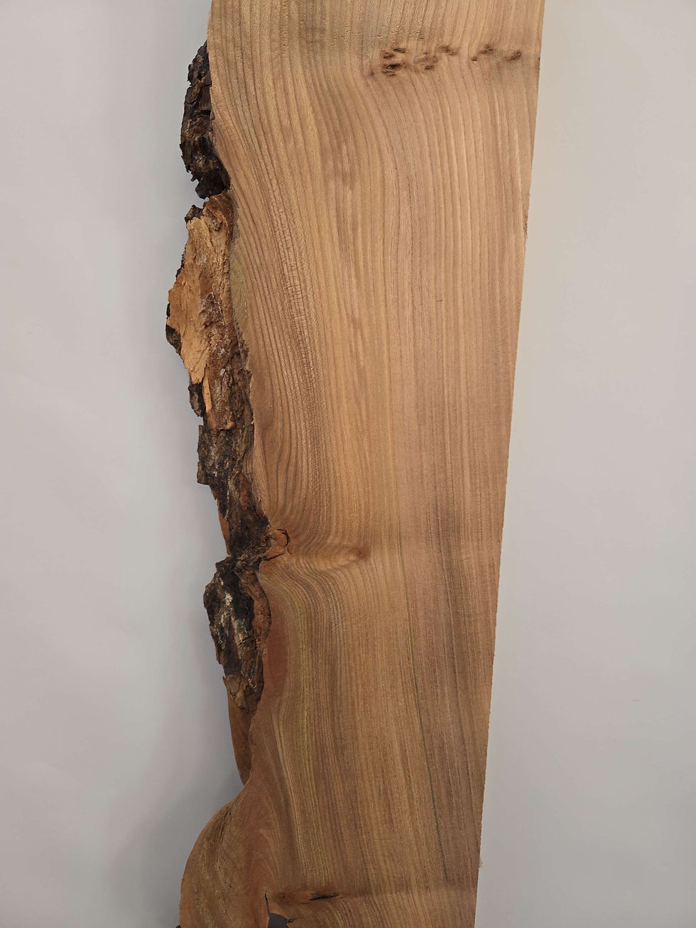 Thumbnail: Rustic Burr edge Elm