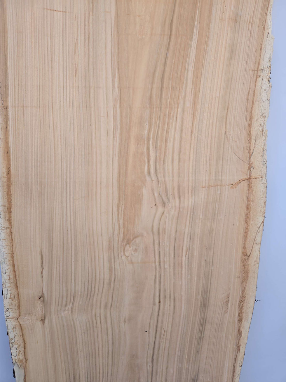Thumbnail: Beautiful Sweet Chestnut 